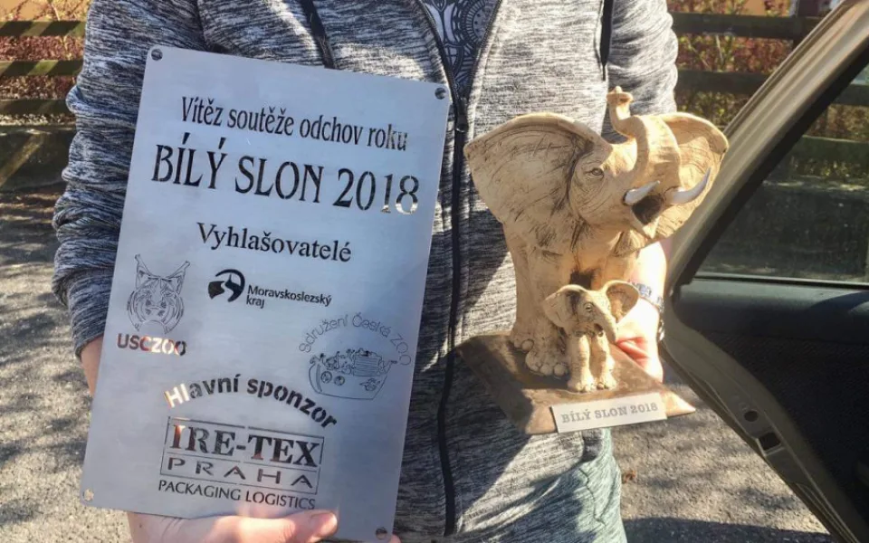 Cena Bílý slon.