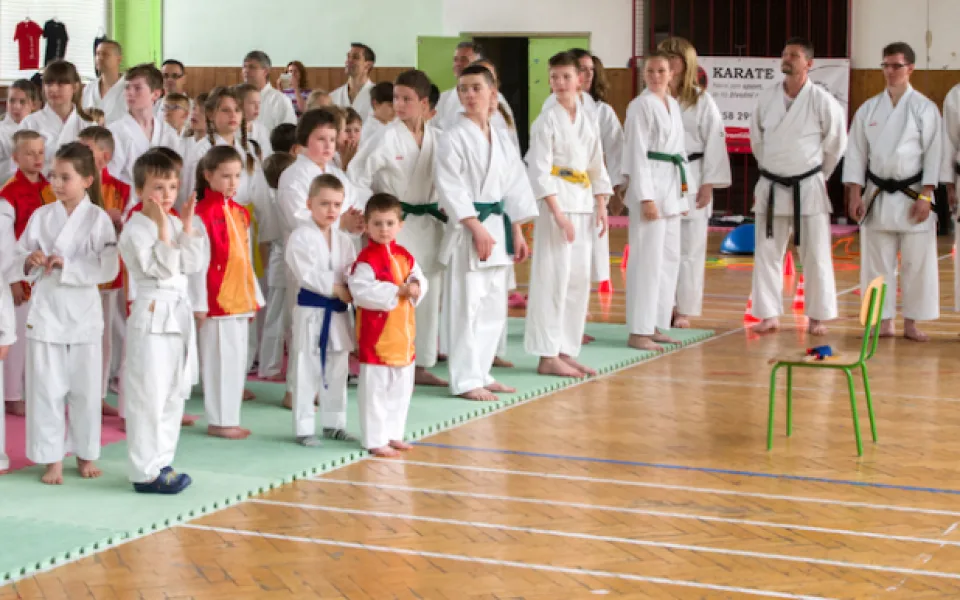 Slavia Cup