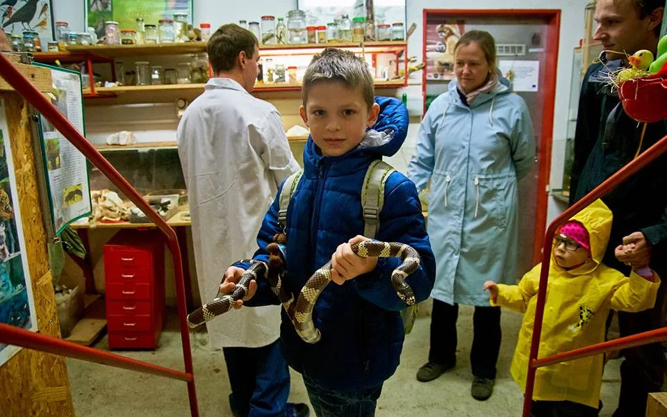 Ilustrační foto.