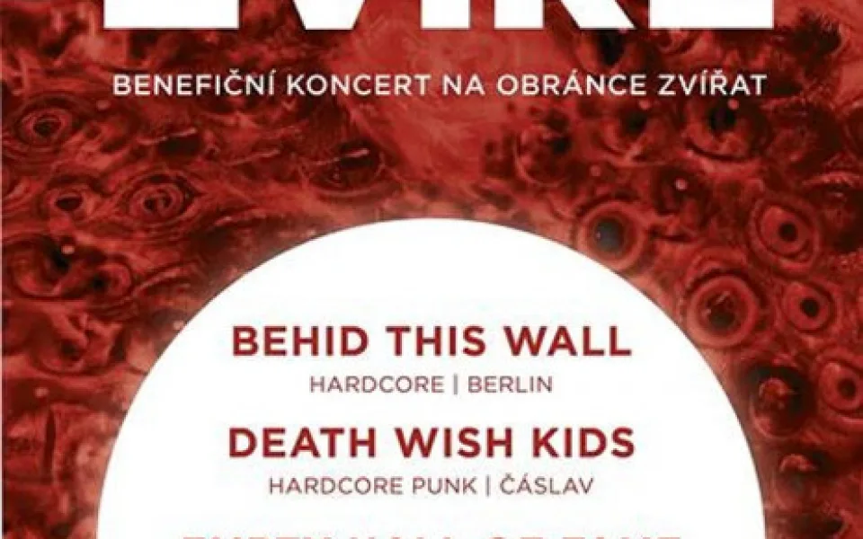 Přijď na koncert, zachraň zvíře!