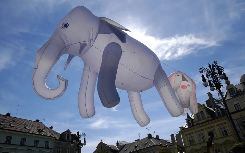 Slon je maskotem Mateřinky