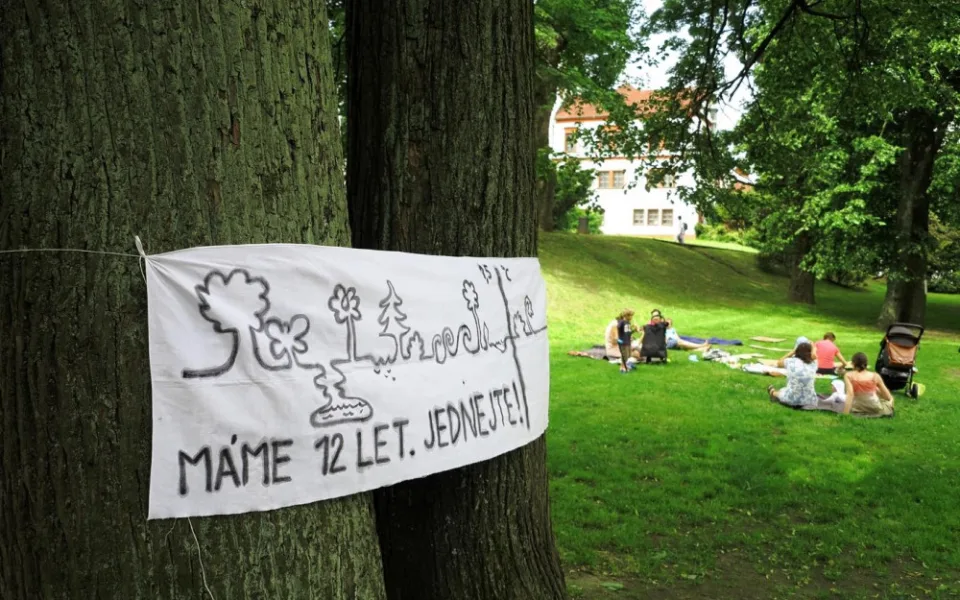 Takové stromy můžete nyní vidět v Liberci.