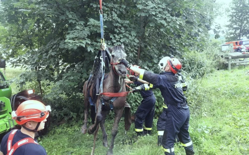 Hasiči zachraňovali kobylu pomocí speciální sítě.
