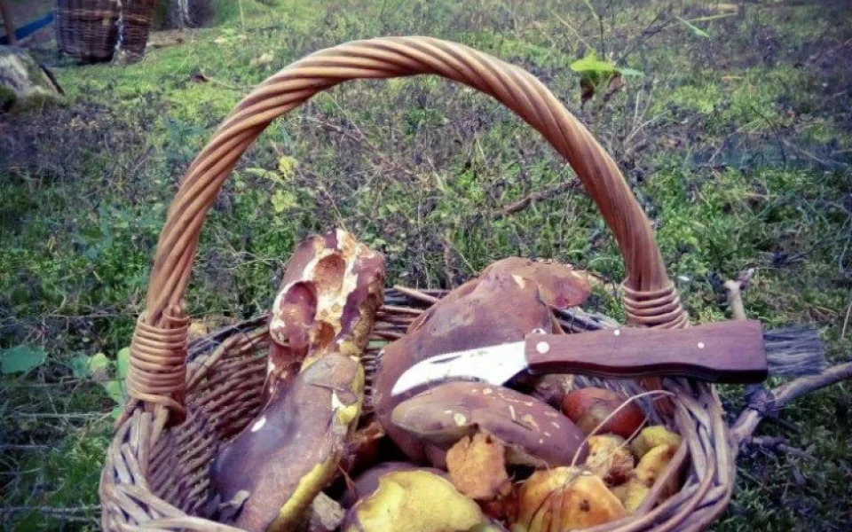 Ilustrační foto.