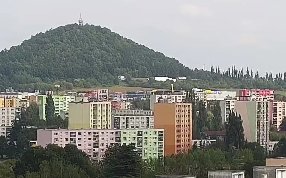 Na Špičáku se rojí mravenci.