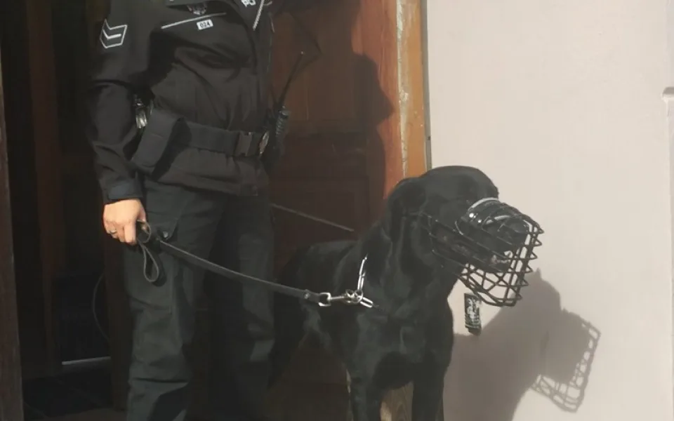Městská policie Česká Lípa má nového pomocníka, čtyřnohého Lancelota.