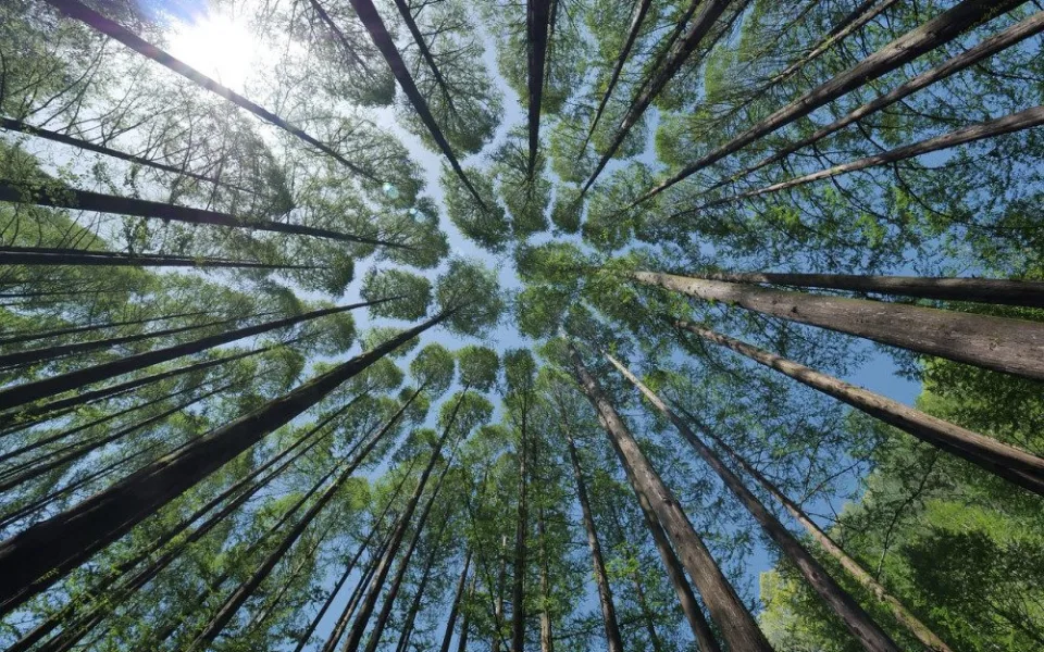 Ilustrační foto