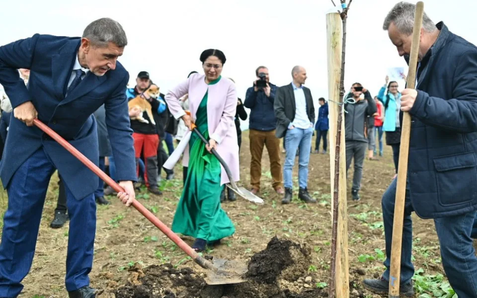 Andrej Babiš sází stromy ve Vyskeři