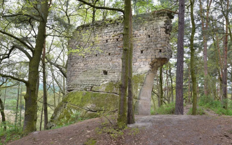 Vítkovec