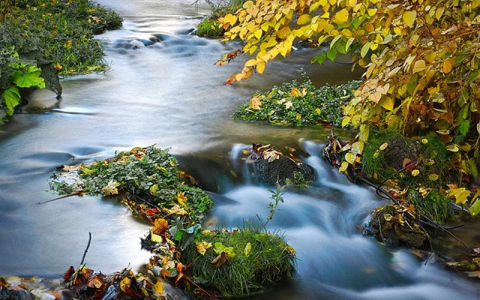 Ilustrační foto