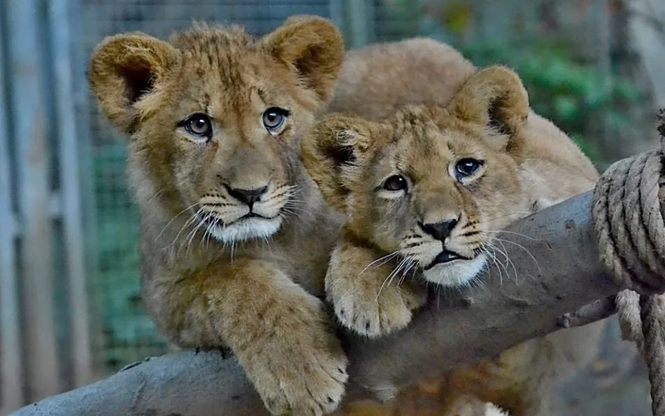 ZOO Liberec