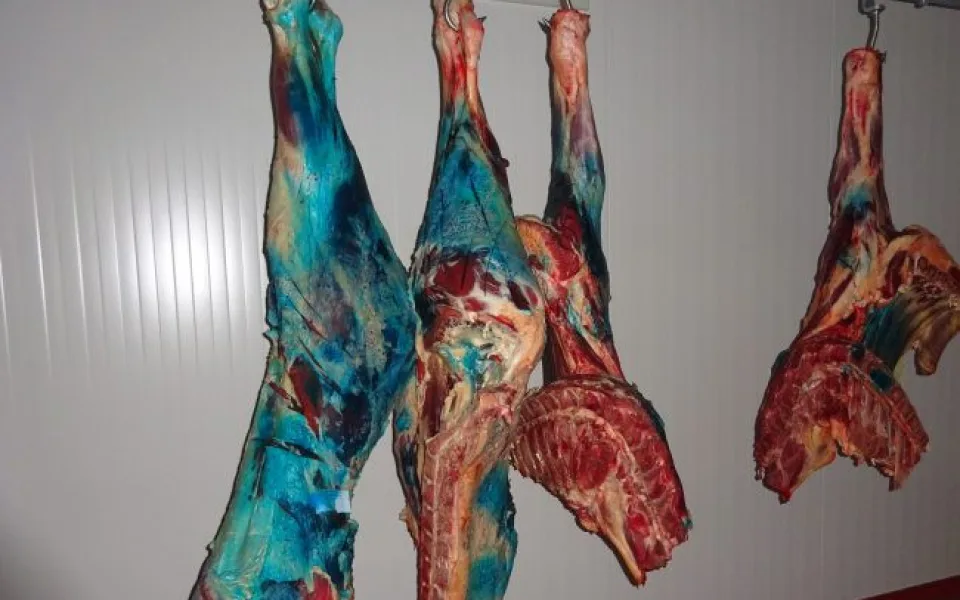 Veterináři na Jablonecku odhalili nelegální jatka. Našli na nich 300 kilo masa