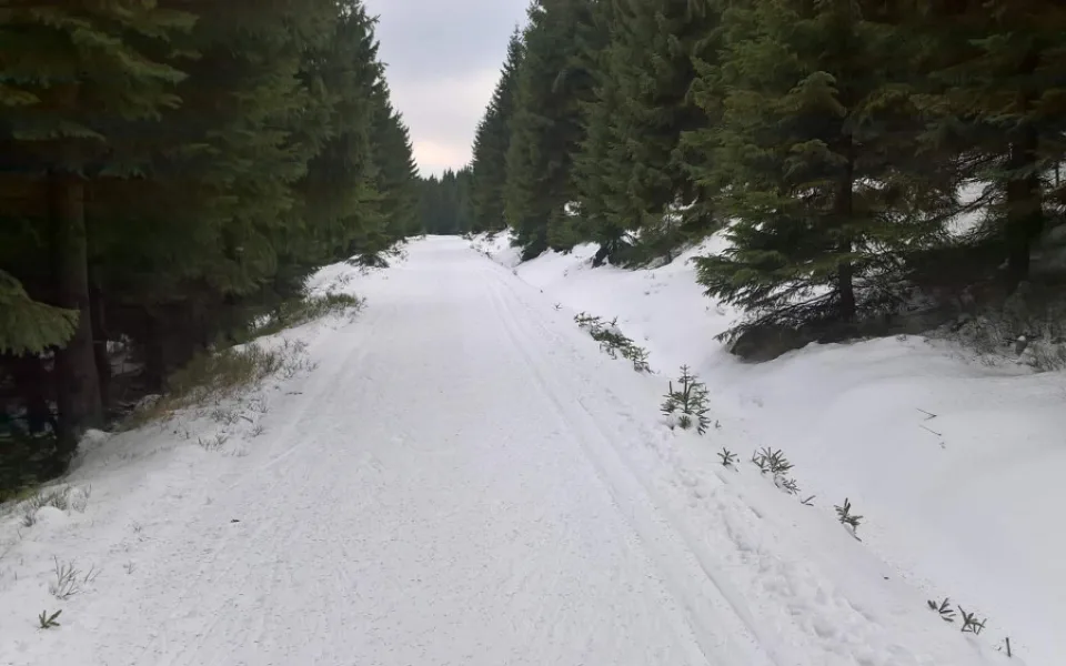 Na tratích zatím sníh je
