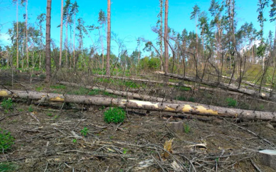 Ilustrační foto