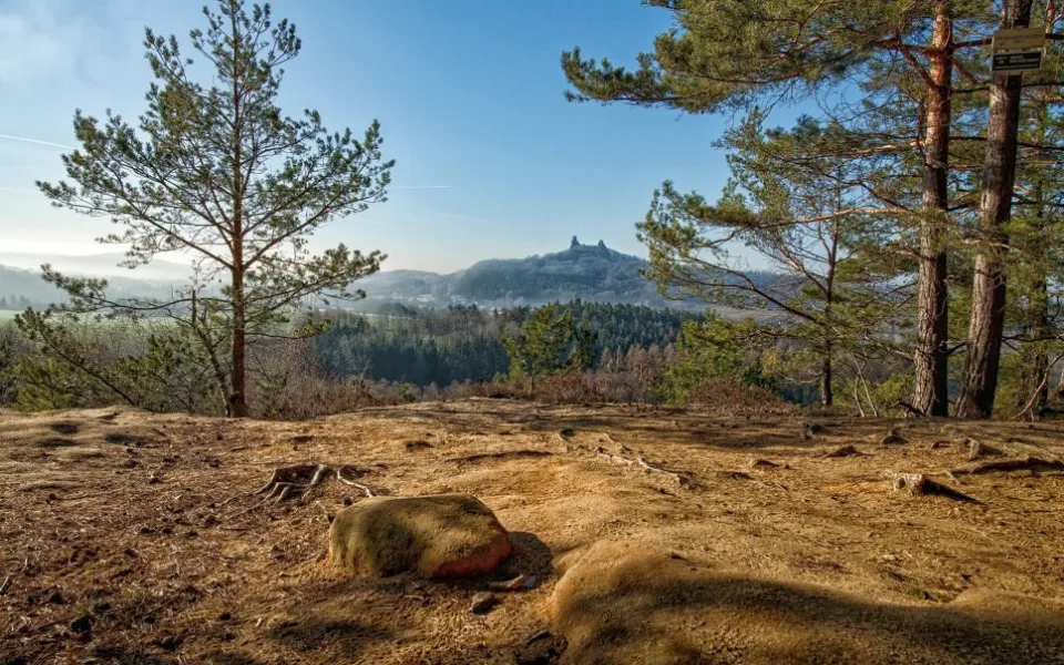 Borecké skály
