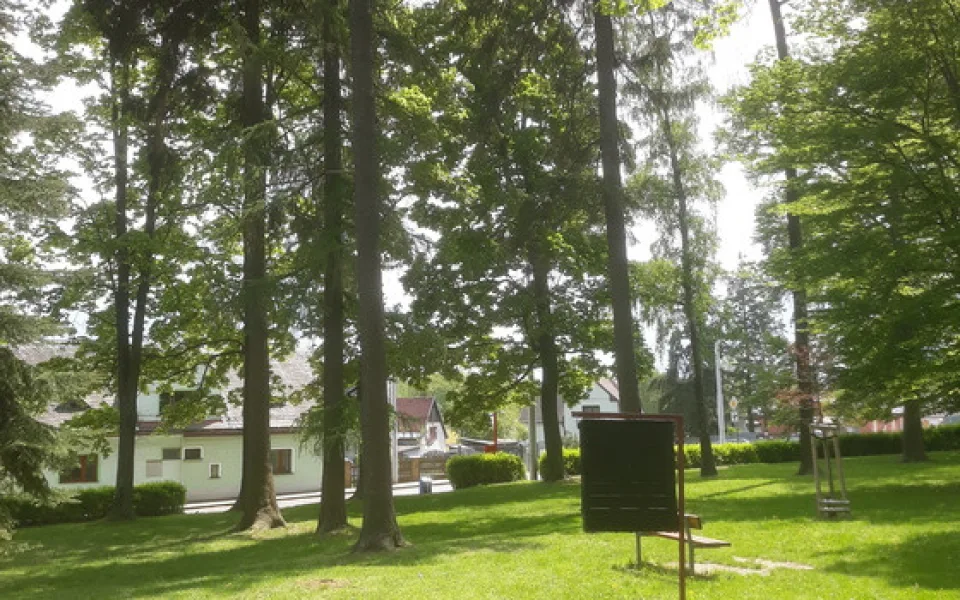 Lapač lýkožrouta smrkového