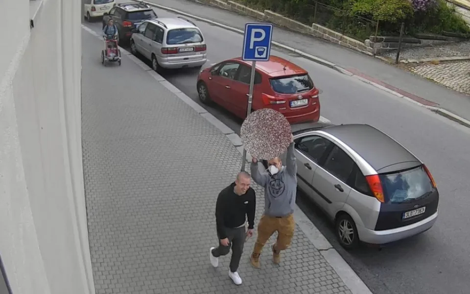 ViewImage (1)