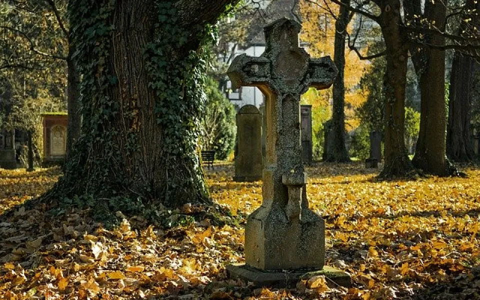 autumn-2182010_640
