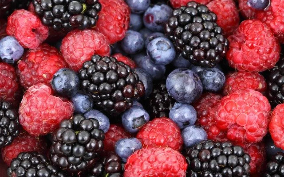 background-2277_640