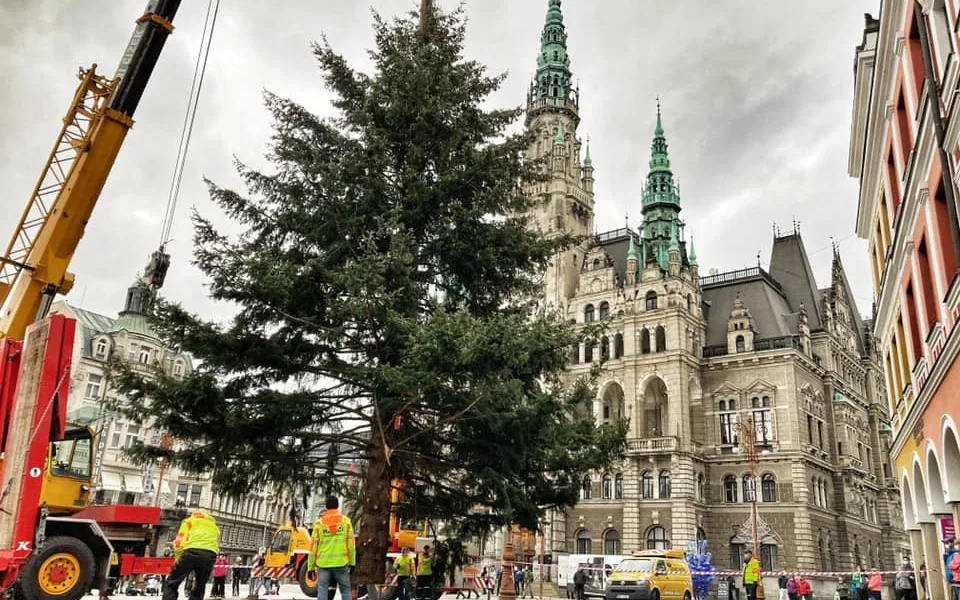 Na náměstí před radnicí už je vánoční strom. Rozsvítí se příští neděli