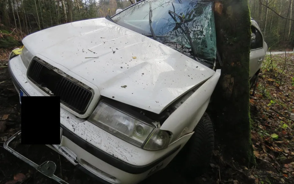 V zatáčce dostal smyk a skončil ve stromě