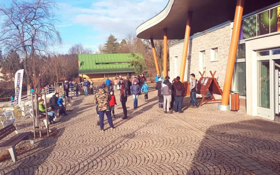 Zoo ve čtvrtek otevírá. Dovnitř může tisíc lidí v rouškách, pavilony zůstanou uzavřeny