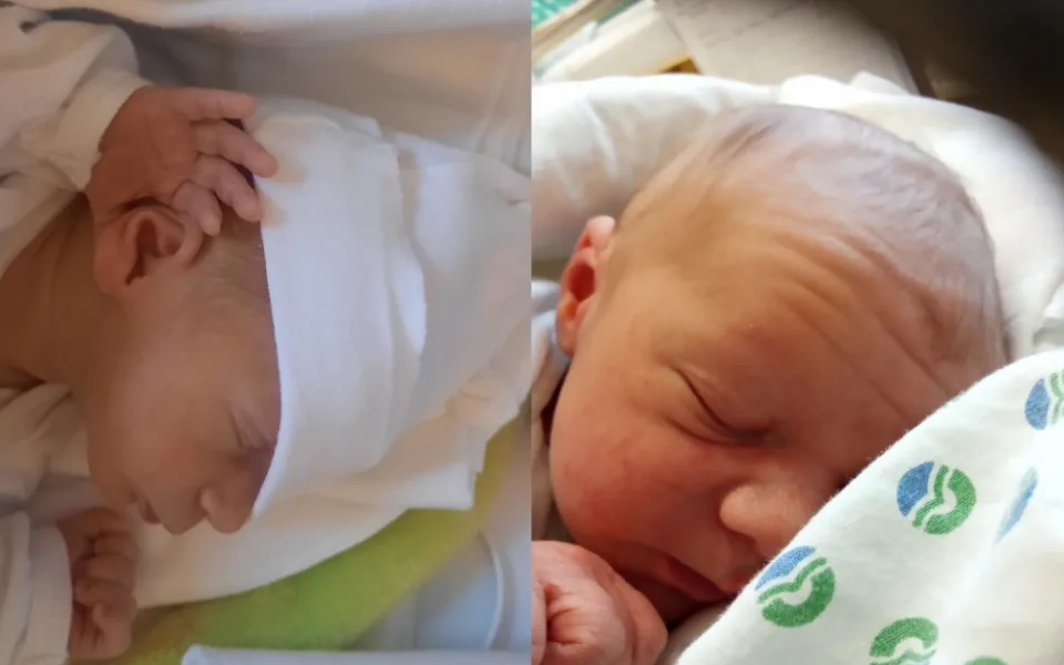 Hlasujte pro drbňátko za měsíc prosinec