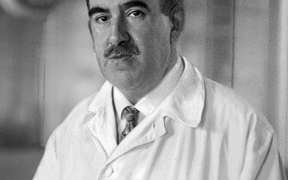 Leopold Moll