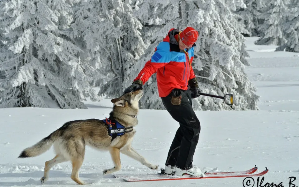 rozděláno (NE)OBYČEJNÍ: Letecký inženýr, který má v Jizerkách malou farmičku a ve volnu zachraňuje životy