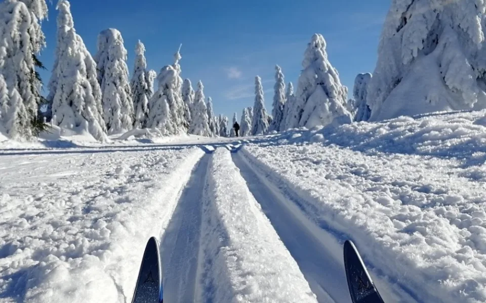 Ilustrační foto