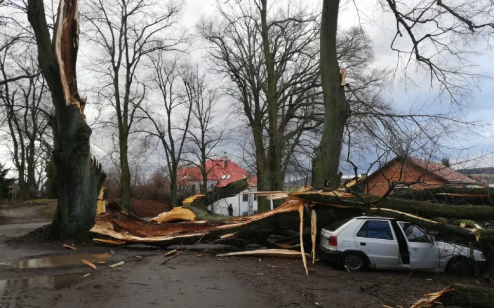 Liberecký kraj zasáhne silný vítr, může mít sílu vichřice