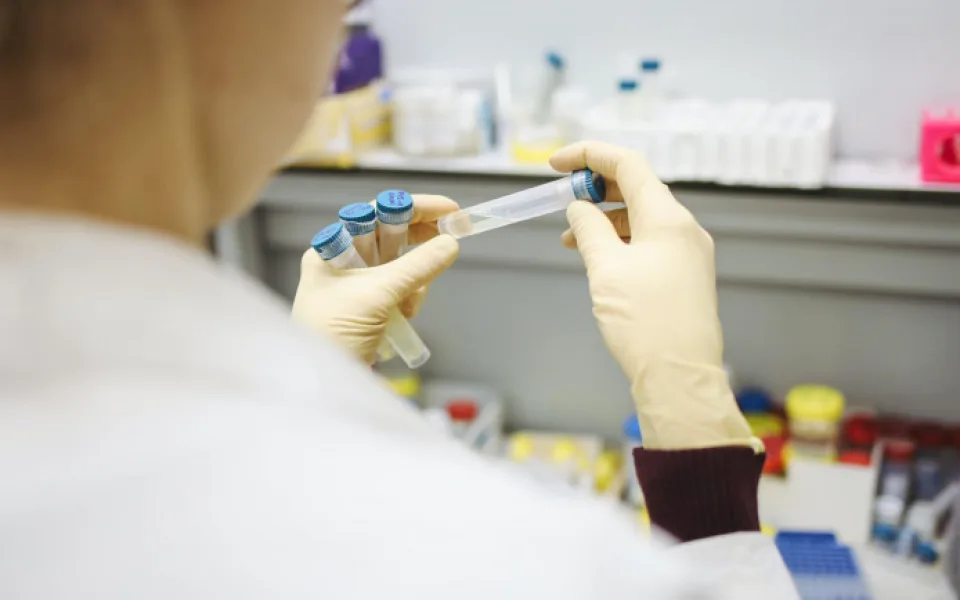Další tři případy Jihoafrické mutace koronaviru, brazilskou zatím laboratoře v Libereckém kraji neodhalily