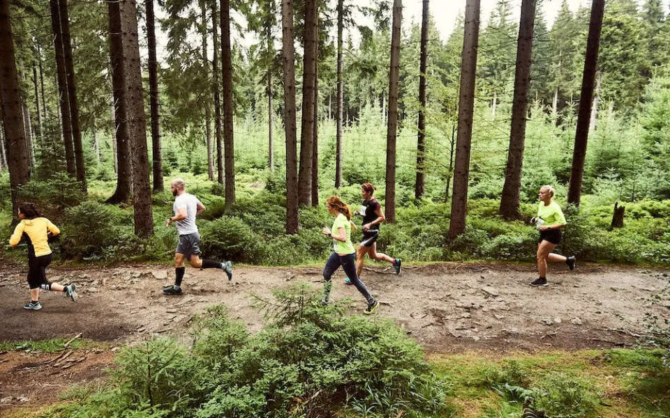 V zimě na běžkách, v létě po svých. Letní Jizerská 50 RUN je za bukem