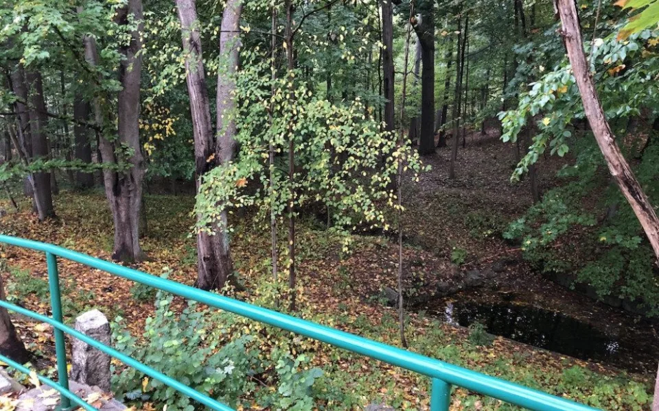 Lesopark ve Fibichově ulici u zoo čeká revitalizace za tři miliony. Začne ještě letos