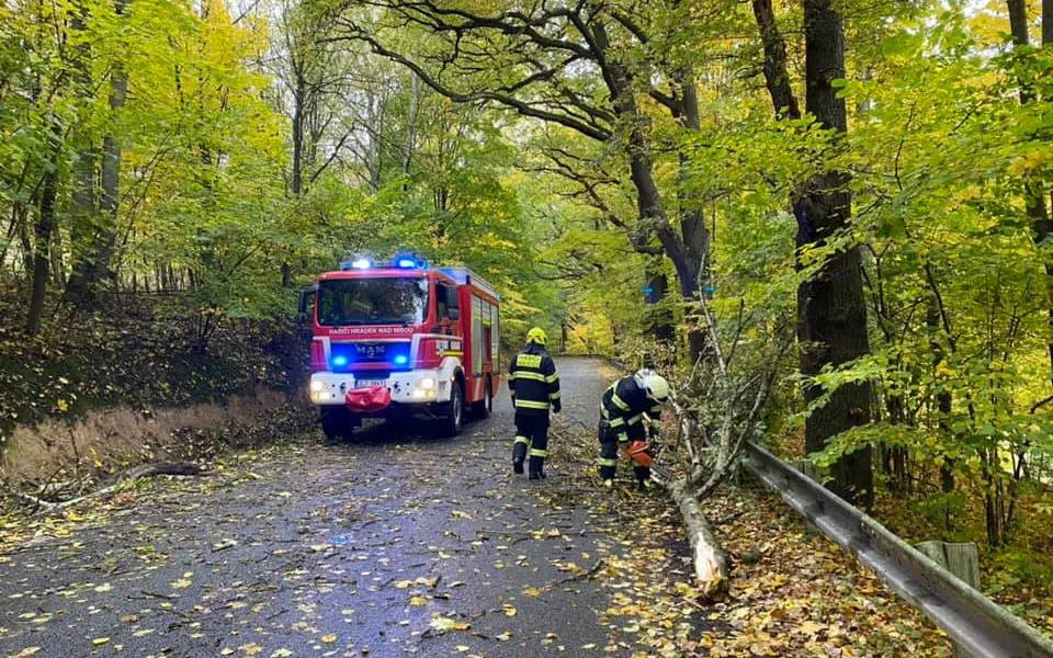 Stovky popadaných stromů, tisíce lidí bez proudu. Škody po vichru se z velké části podařilo odstranit