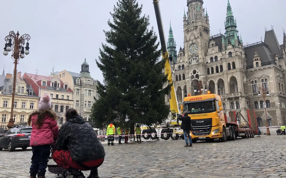 Liberecké náměstí už zdobí vánoční strom. Dorazil od Hokejky