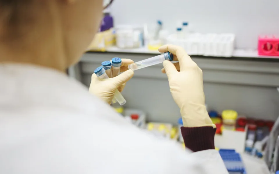 Omikron odhalily laboratoře v Libereckém kraji zhruba u 84 procent pozitivních testů