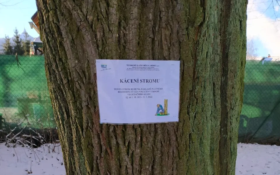 Změna po kritice kvůli kácení. Město začalo stromy označovat cedulemi