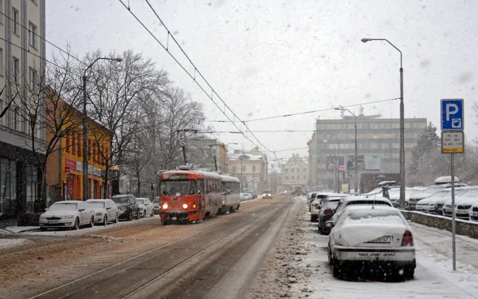 V týdnu bude vydatněji sněžit i foukat, na horách hrozí závěje