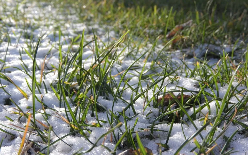 Teploty v týdnu vystoupí až k deseti stupňům. Ochladí se o víkendu