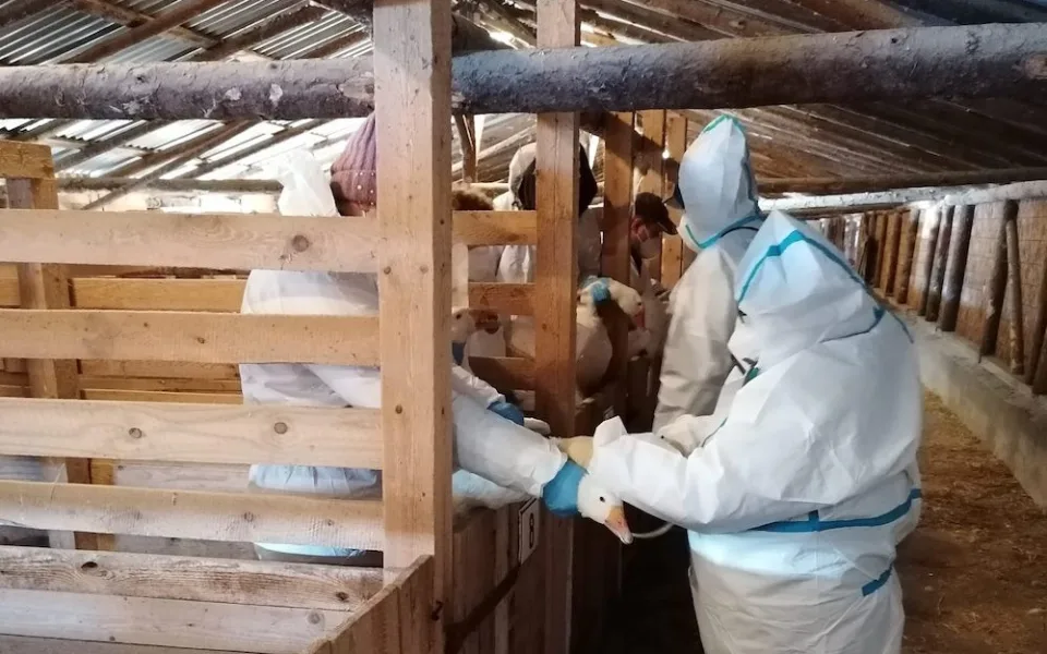 Veterináři v Libereckém kraji loni uložili 157 pokut, více než o rok dříve
