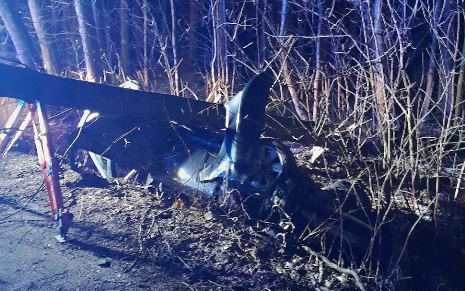 Auto v Karlově vylétlo ze silnice a přerazilo strom, řidič skončil v nemocnici