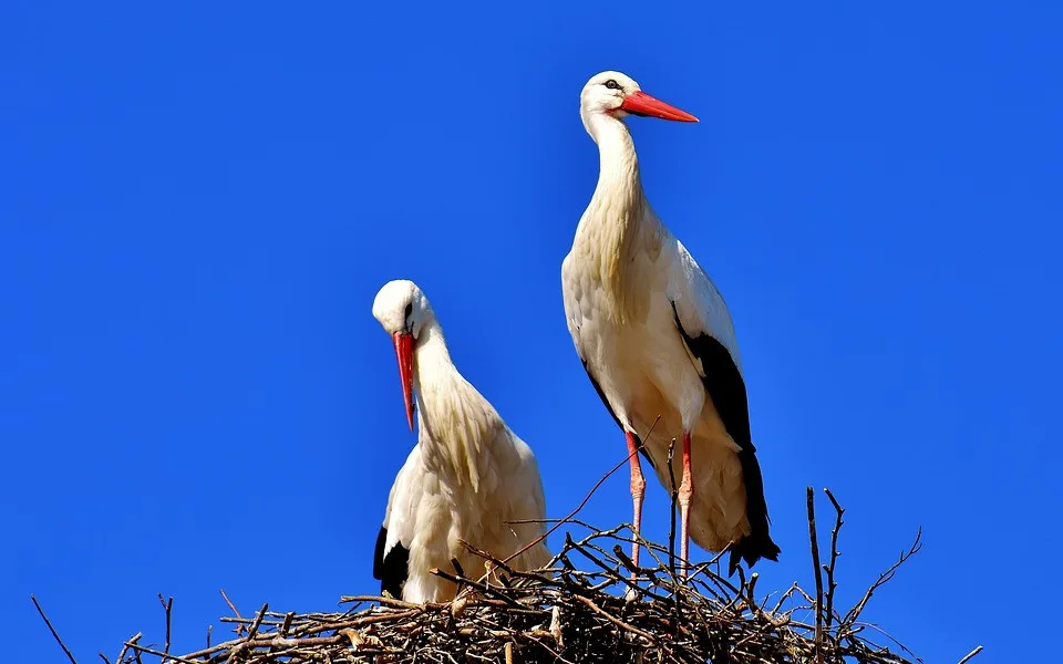 Ilustrační foto