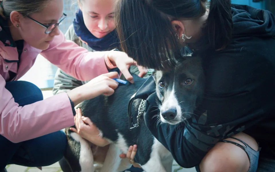 Veterináři bez hranic ČR