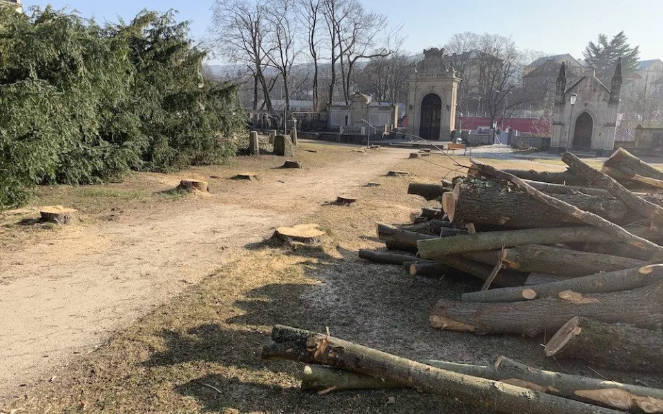 Kácení v Zahradě vzpomínek. Stromy jsou pryč, areál projde obnovou