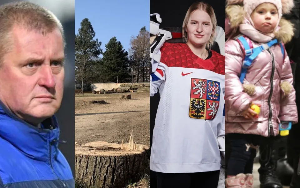PŘEHLED: Přečtěte si, co se Liberecké Drbně v březnu povedlo