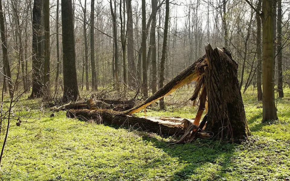 Ilustrační foto