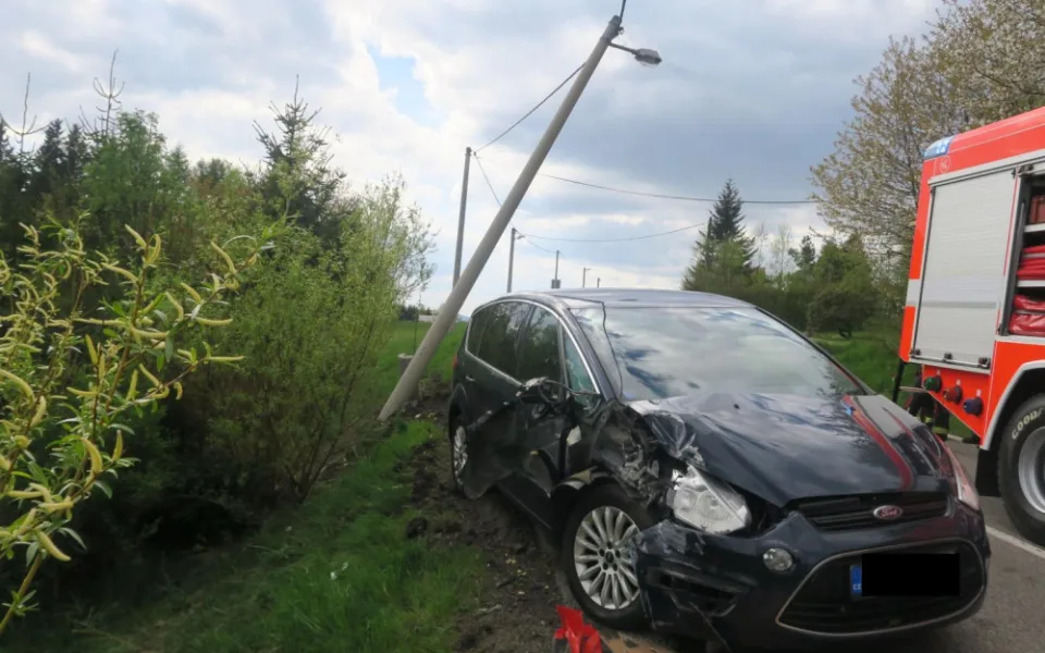 Řidičce vletěla do auta včela. Za nabourání do sloupu dostala žena pokutu