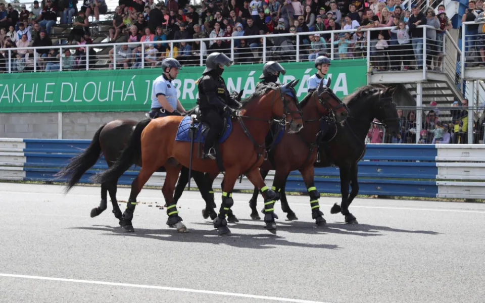 Jízdní policie byla zrovna poblíž na policejní akci