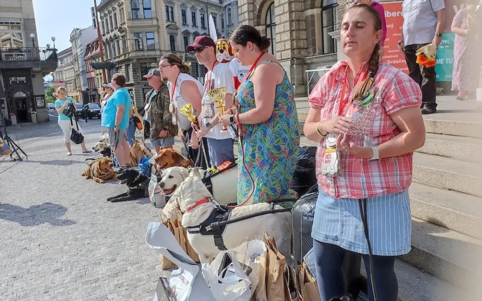 Orientace v prostoru i poslušnost. Vodící psi soutěžili před radnicí